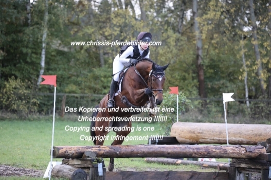 Preview paula reinstorf mit quick lizzy IMG_0100.jpg